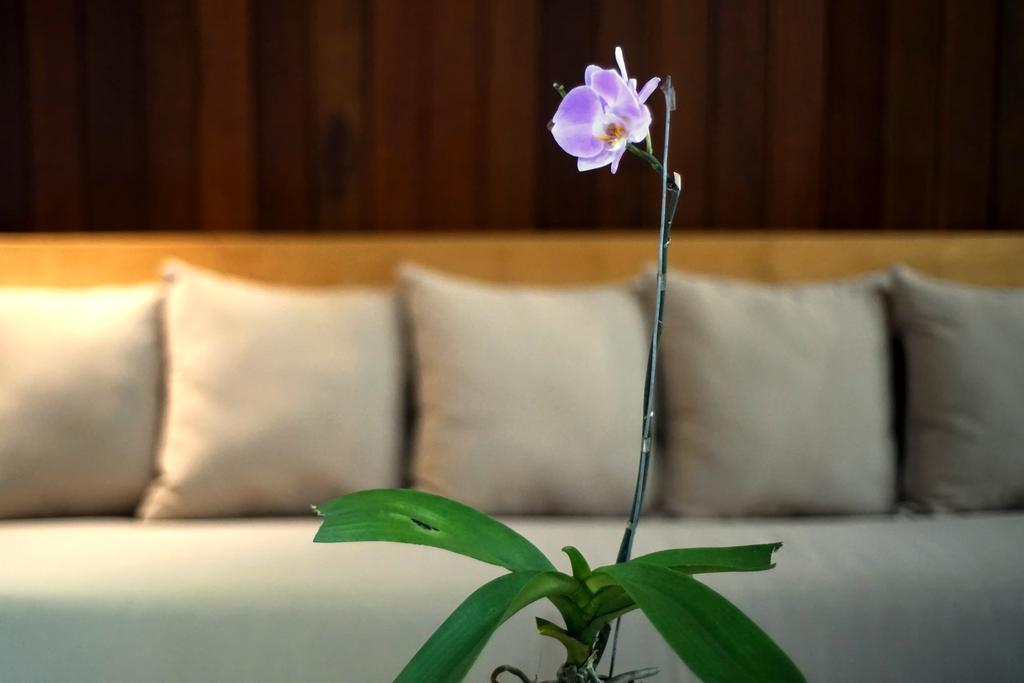 Bale Mandala Villas Senggigi Ngoại thất bức ảnh